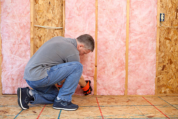 Best Insulation for Specific Applications in Waimanalo, HI
