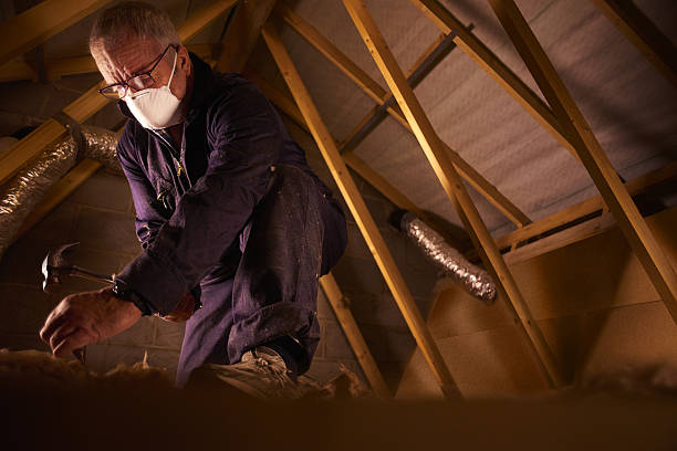Best Insulation Maintenance and Repair in Waimanalo, HI